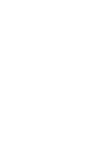Icône